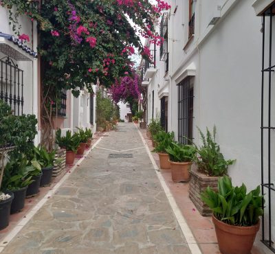 WhatsApp Image 2025-06-27 at 19.04.03 (2)